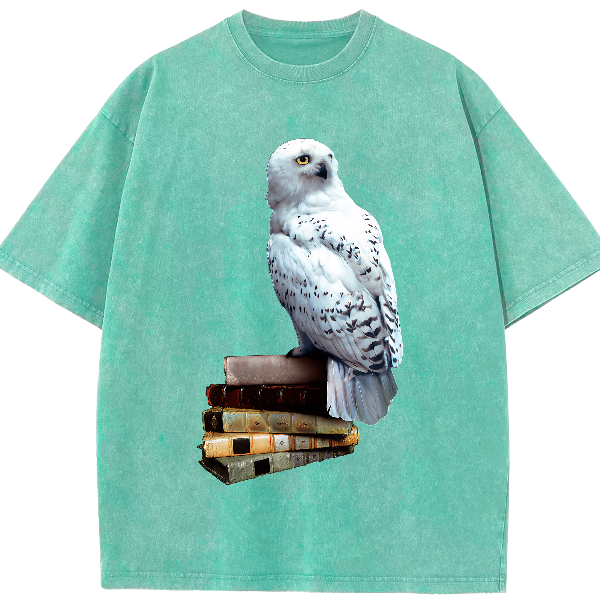 （画像用） Harry Potter ハリー・ポッターシリーズ 綿100% ヴィンテージ風 半袖Tシャツ（フロントプリント）